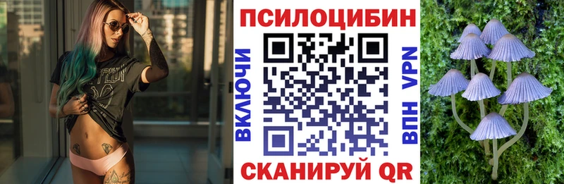 Галлюциногенные грибы мицелий  Купить  Козьмодемьянск 