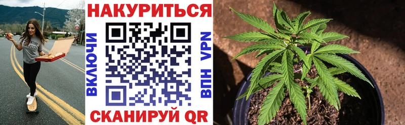 Бошки марихуана планчик  Купить закладки  Козьмодемьянск 